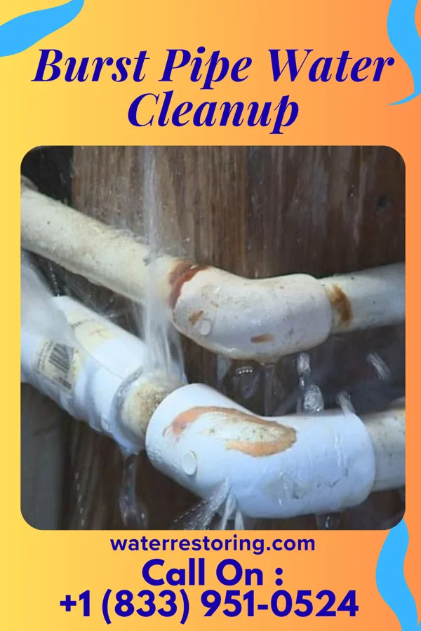 Burst Pipe Water Cleanup in Goose Creek Village, VA