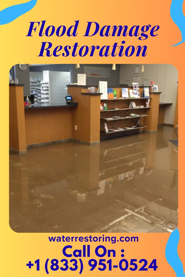 Flood Damage Restoration in Goose Creek Village, VA