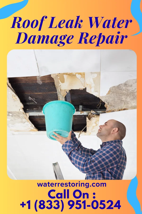Roof Leak Water Damage Repair in Goose Creek Village, VA