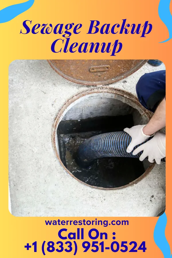Sewage Backup Cleanup in Goose Creek Village, VA